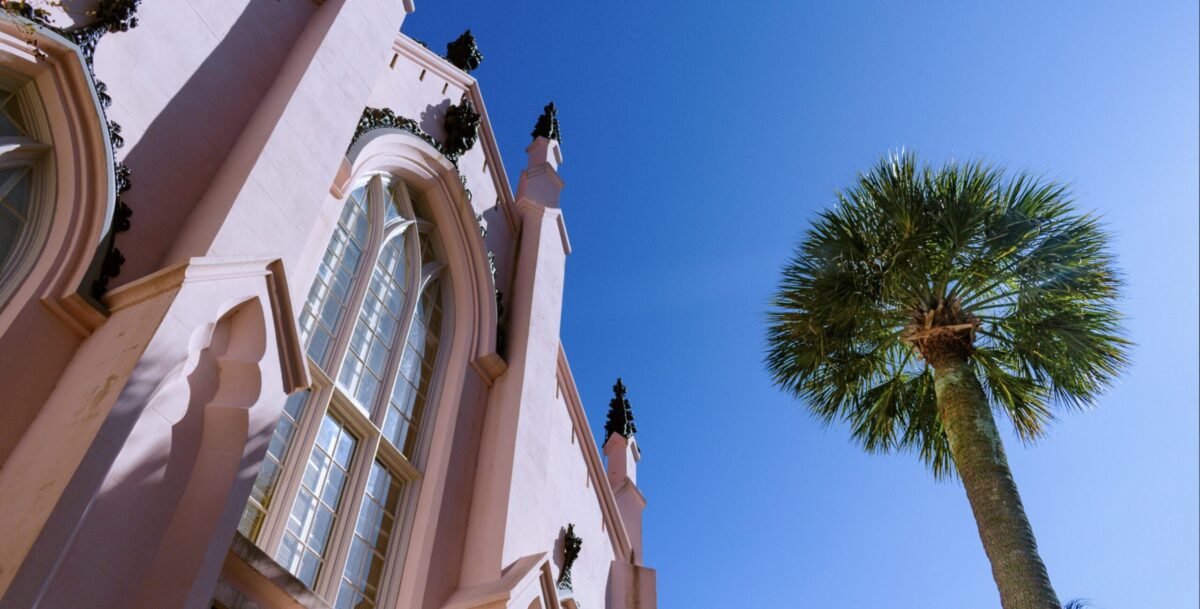 A pink church and a lush palm tree front a clear blue sky.